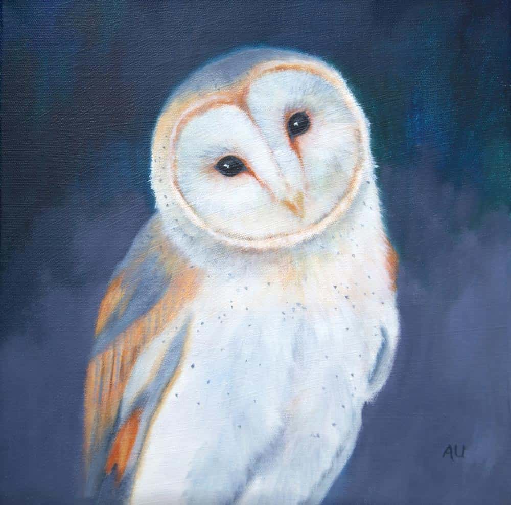 Anita Utas--Little Barn Owl